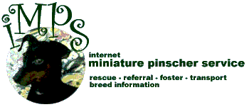 Internet Miniature Pinscher Rescue